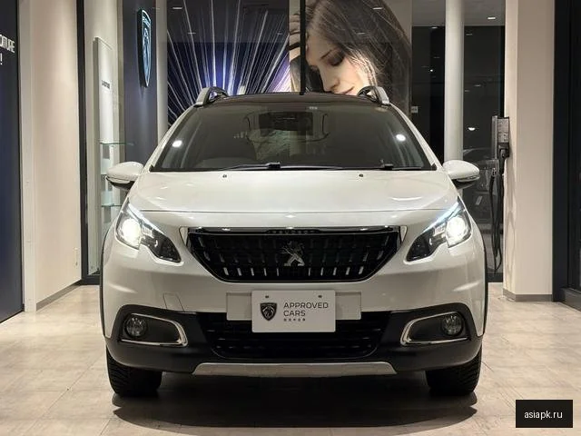 Peugeot 2008 3