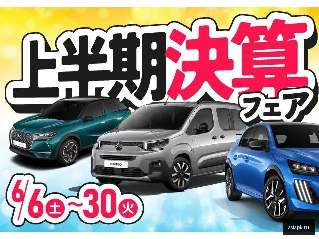 Peugeot 2008 4