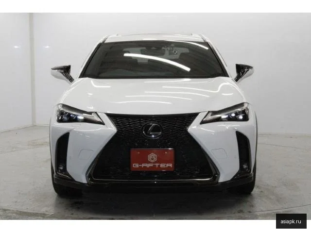 Lexus UX250h 4