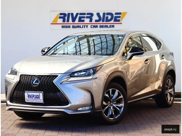 Lexus NX200 2