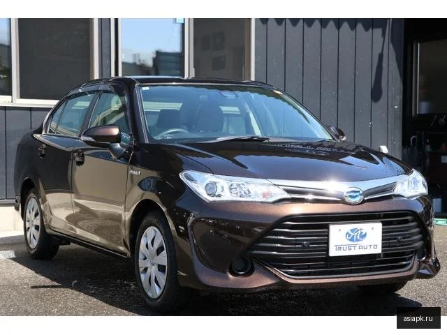 Toyota Corolla Axio 5
