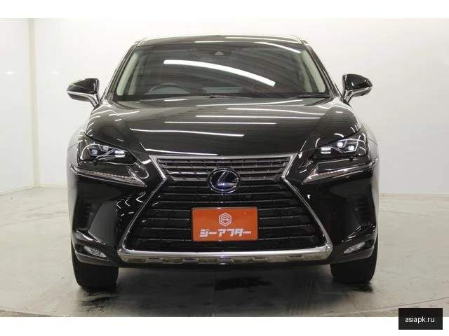 Lexus NX300h 3