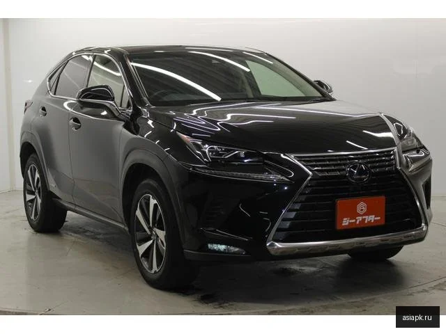 Lexus NX300h 4
