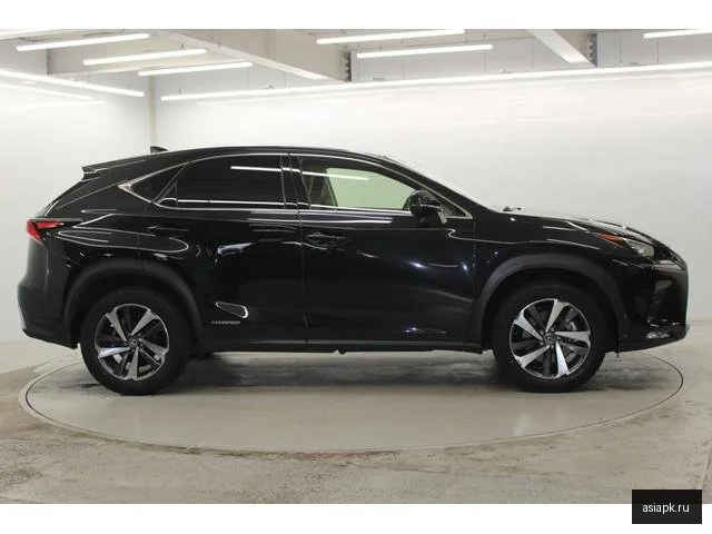 Lexus NX300h 5