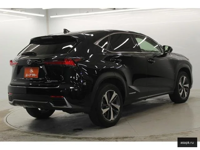 Lexus NX300h 6