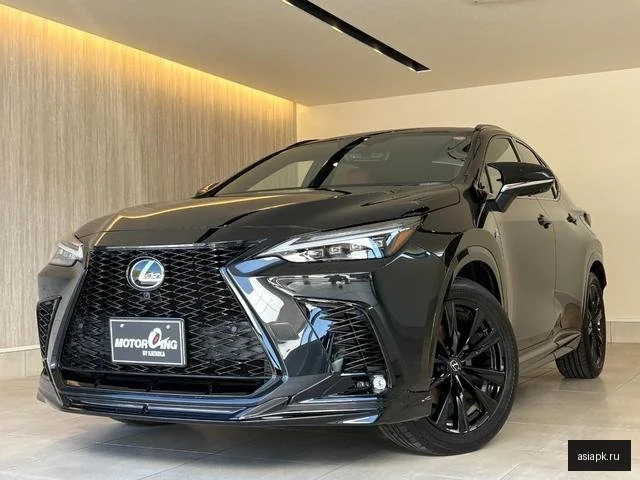 Lexus NX250 2