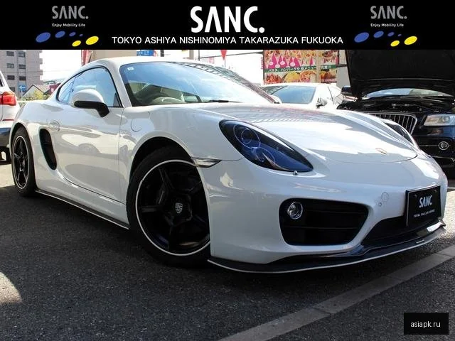 Porsche Cayman 2