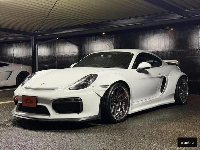 Porsche Cayman 5
