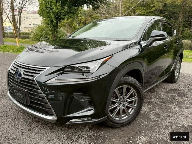Lexus NX300h 3