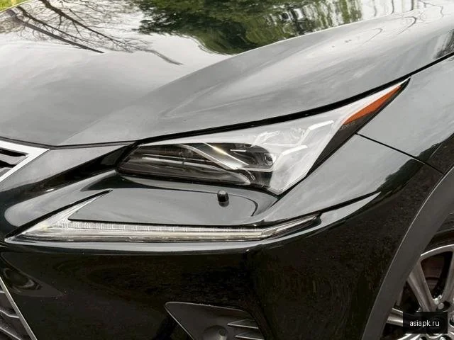 Lexus NX300h 4