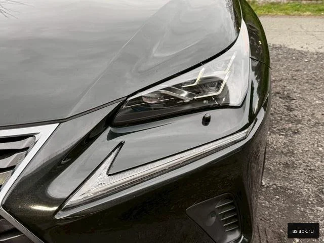 Lexus NX300h 5