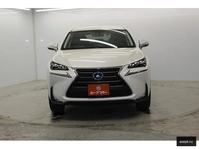 Lexus NX300h 3