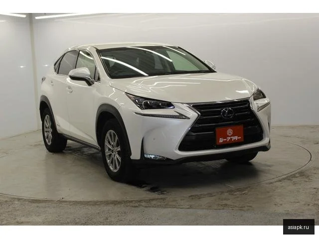 Lexus NX300h 4