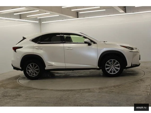Lexus NX300h 5