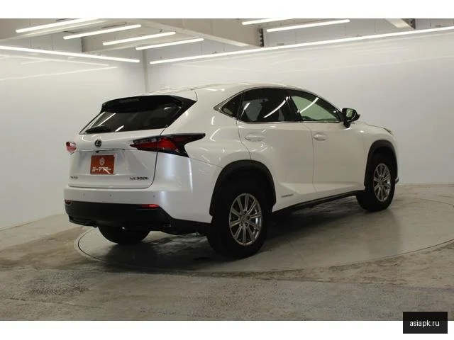 Lexus NX300h 6