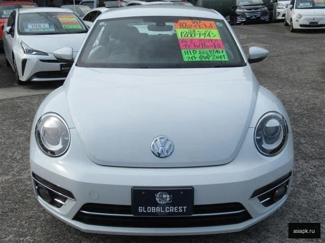 Volkswagen Beetle 3