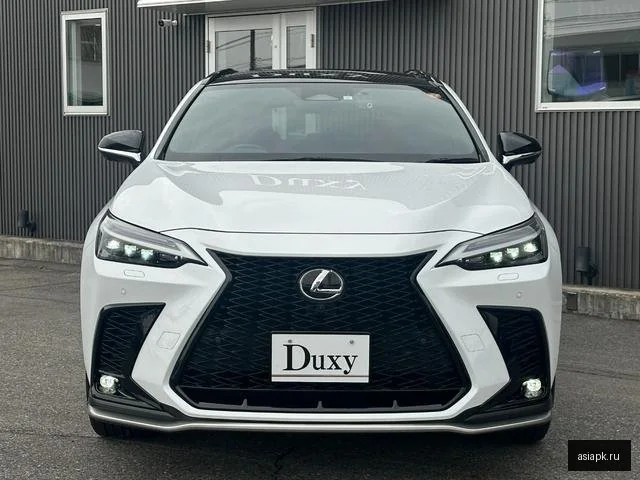 Lexus NX250 5