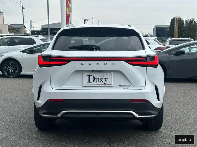 Lexus NX250 6
