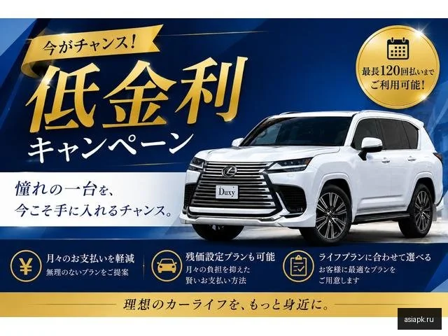 Toyota Vellfire 3