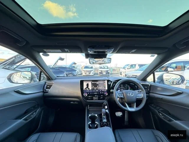 Lexus NX250 4