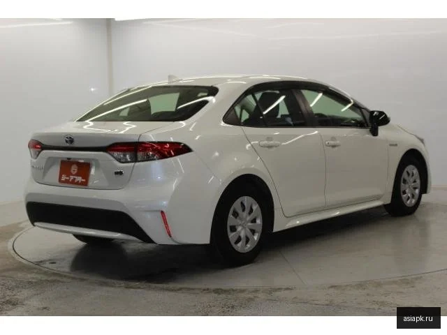 Toyota Corolla 6