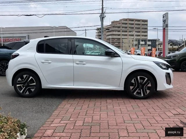 Peugeot 208 5